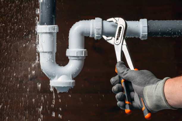 Professional Toilet Repair technician working in Emden, IL
